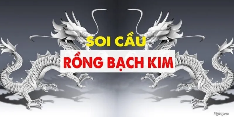 Mẹo soi cầu rồng bạch kim hiệu quả